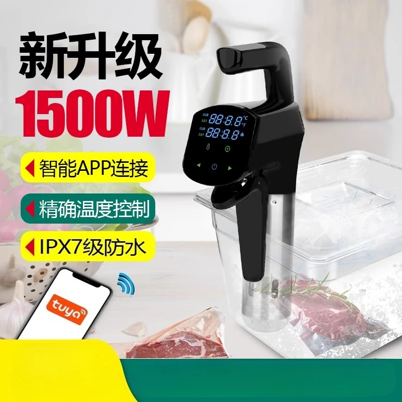 110V/220V Commercial Sous Vide - Home Cooking Steak ulasan dan harga