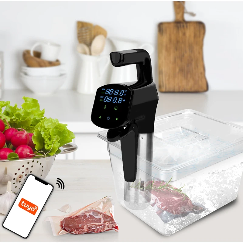 110V/220V Commercial Sous Vide - Home Cooking Steak ulasan dan harga